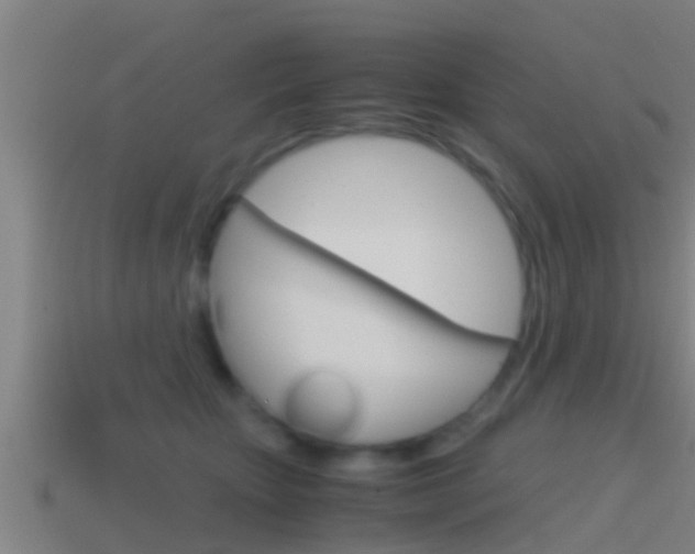 X0000114410467200910161036
