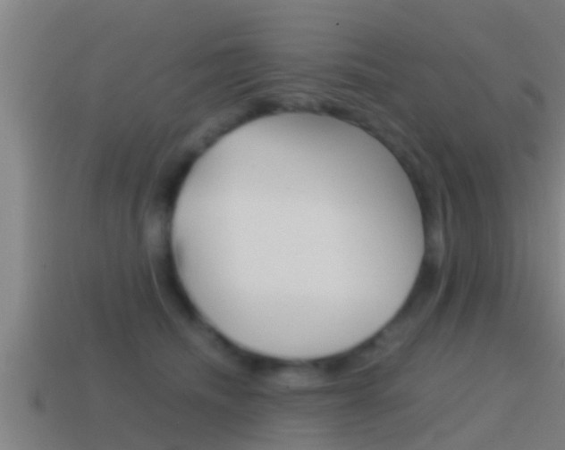 X0000114410468200910161036