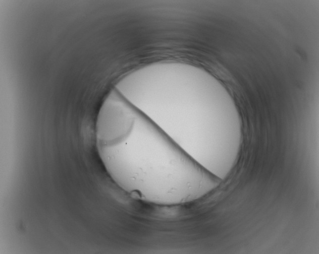 X0000114410469200910161036