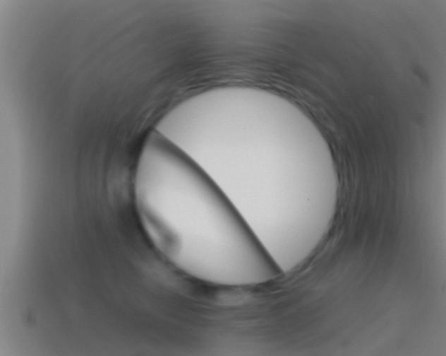 X0000114410470200910161036