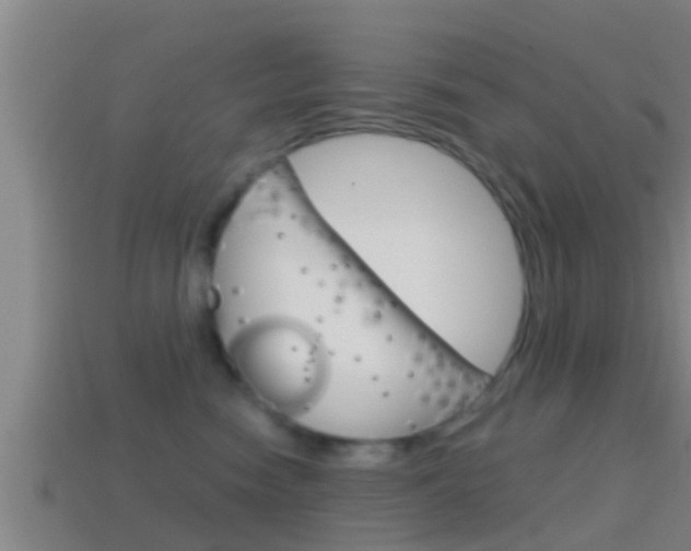 X0000114410474200910161036