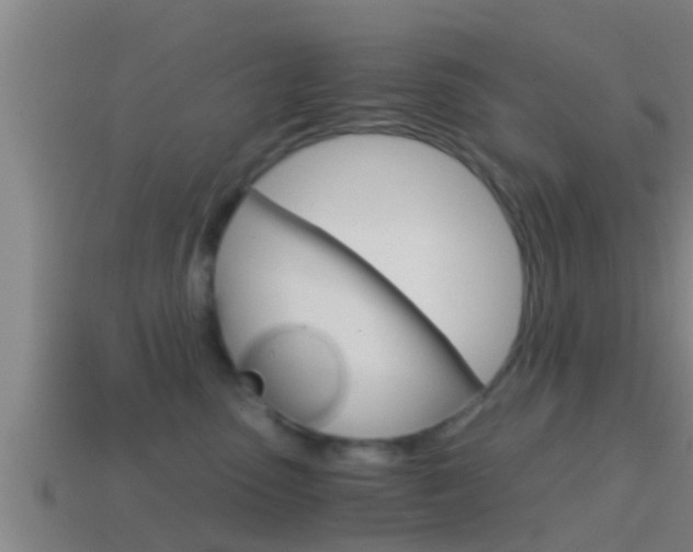 X0000114410475200910161036