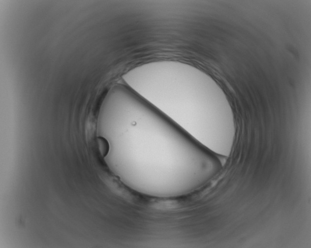 X0000114410476200910161036