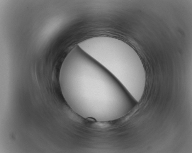 X0000114410477200910161036