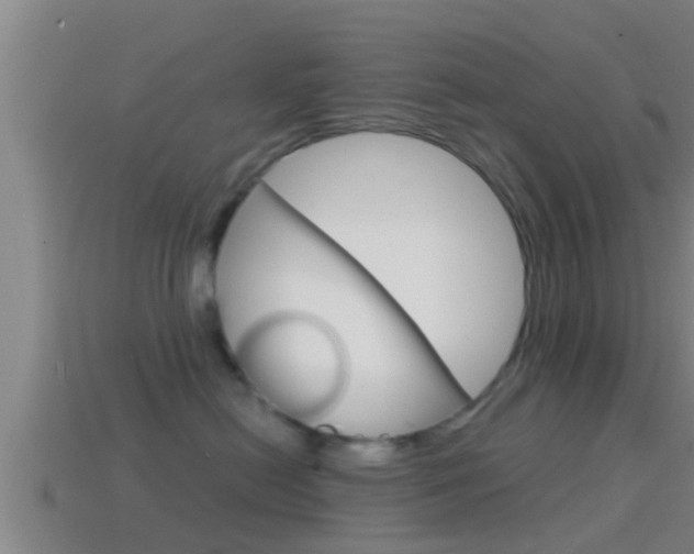 X0000114410478200910161036