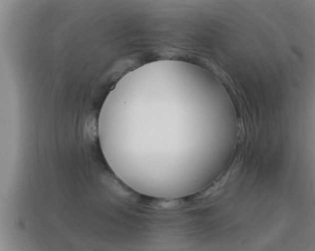 X0000114410479200910161036