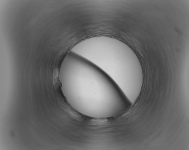 X0000114410480200910161036