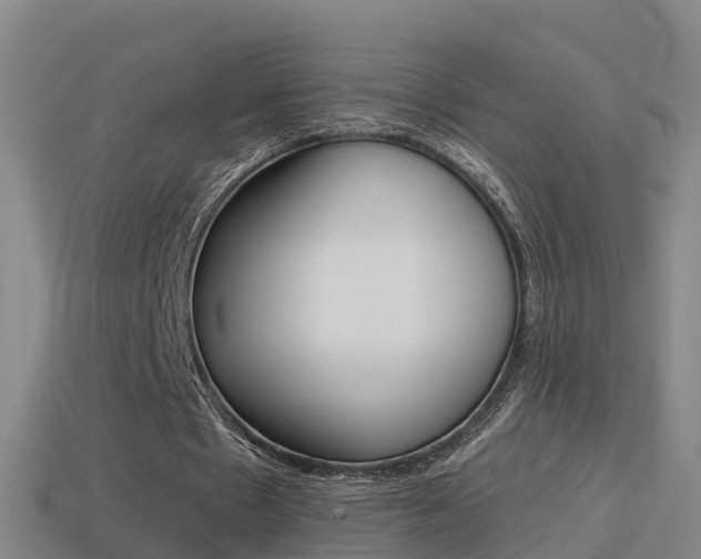 X0000114410481200910161035