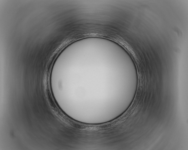 X0000114410482200910161035