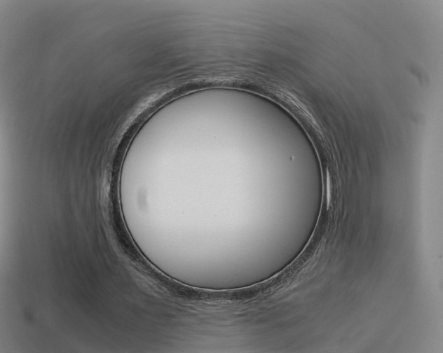 X0000114410483200910161035