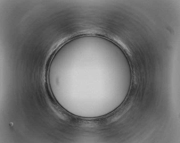 X0000114410486200910161035