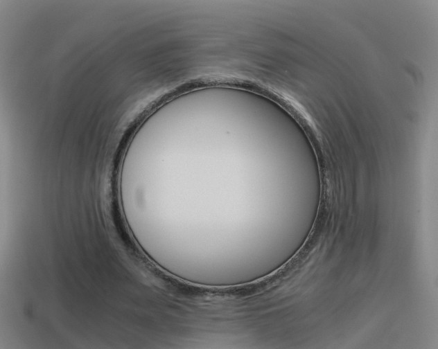 X0000114410487200910161035