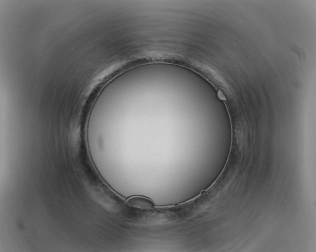 X0000114410488200910161035