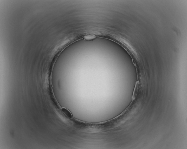 X0000114410489200910161035