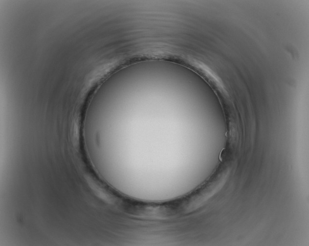 X0000114410493200910161035