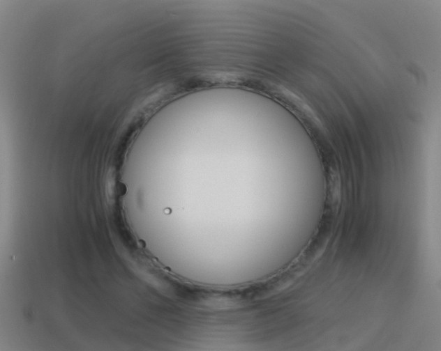 X0000114410494200910161035