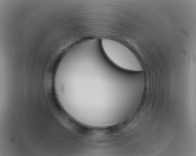 X0000114410495200910161035