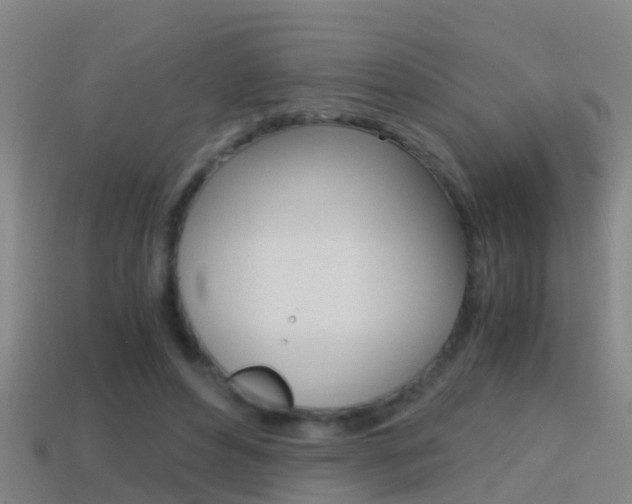X0000114410496200910161035