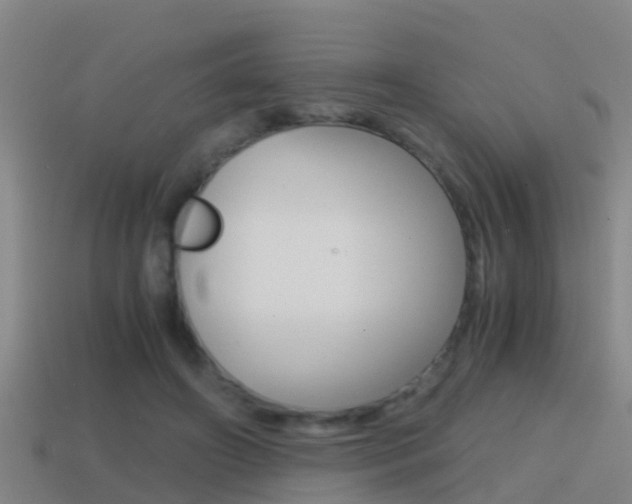 X0000114410498200910161035