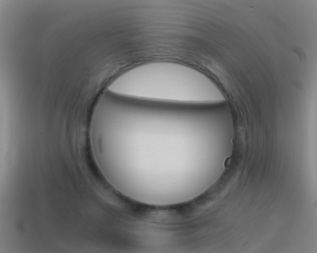 X0000114410499200910161035