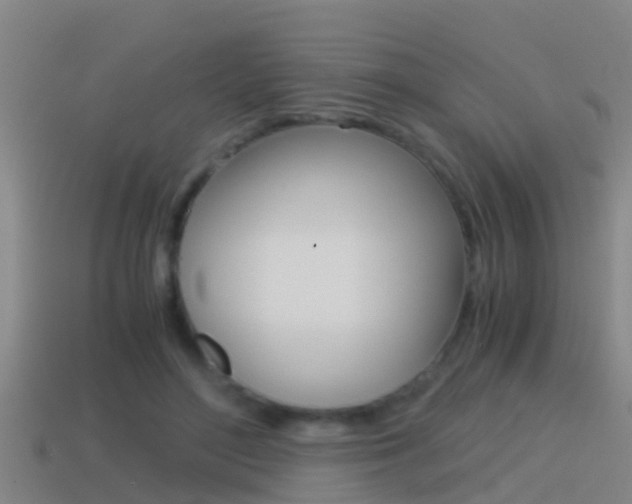 X0000114410500200910161035