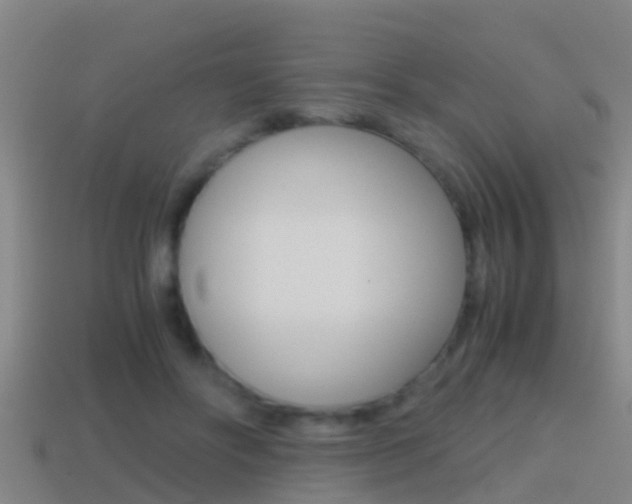 X0000114410502200910161035