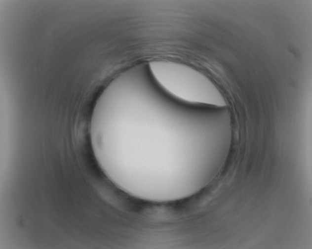 X0000114410503200910161035