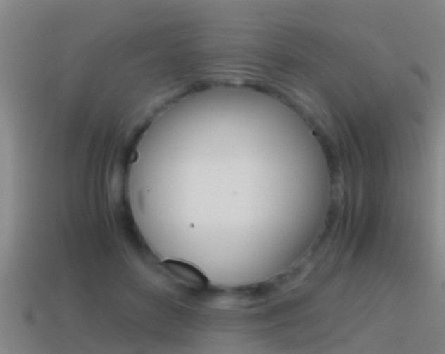 X0000114410504200910161035