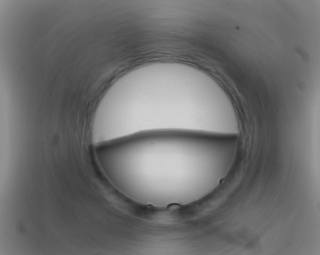 X0000114410505200910161035