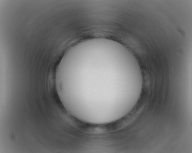 X0000114410506200910161035