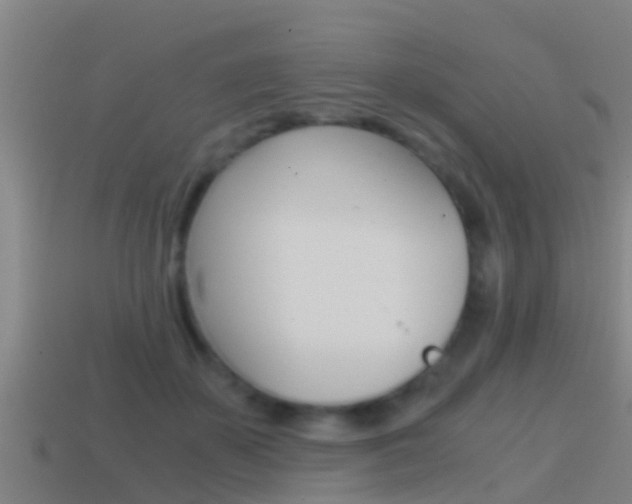 X0000114410507200910161035