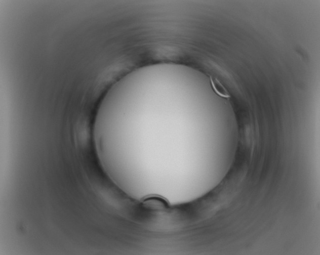 X0000114410508200910161035