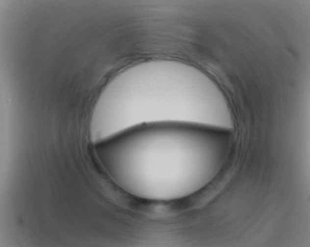 X0000114410509200910161035