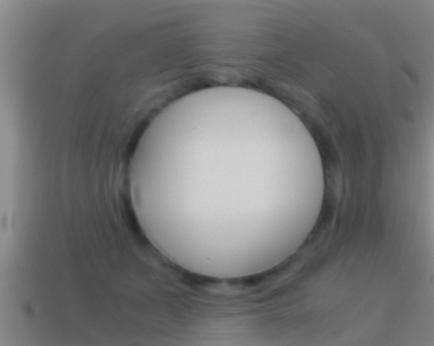 X0000114410511200910161035