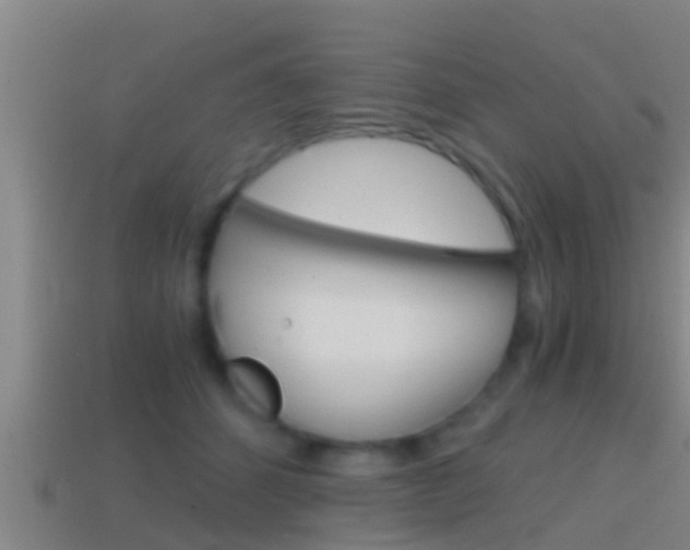 X0000114410512200910161035