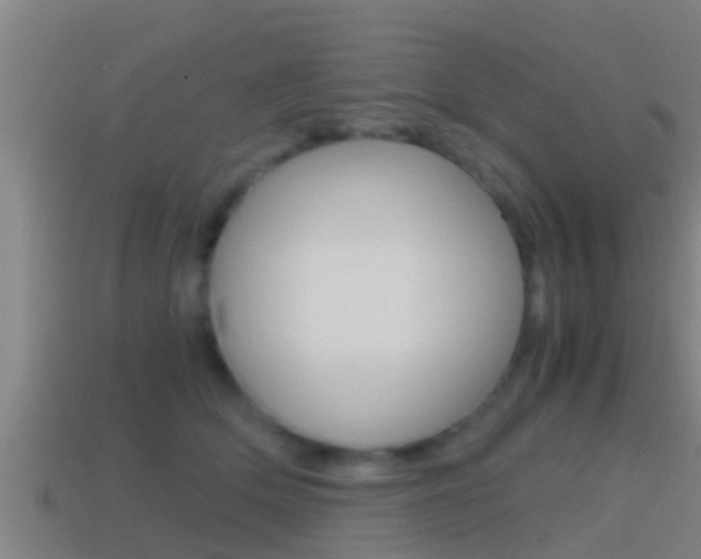 X0000114410514200910161035