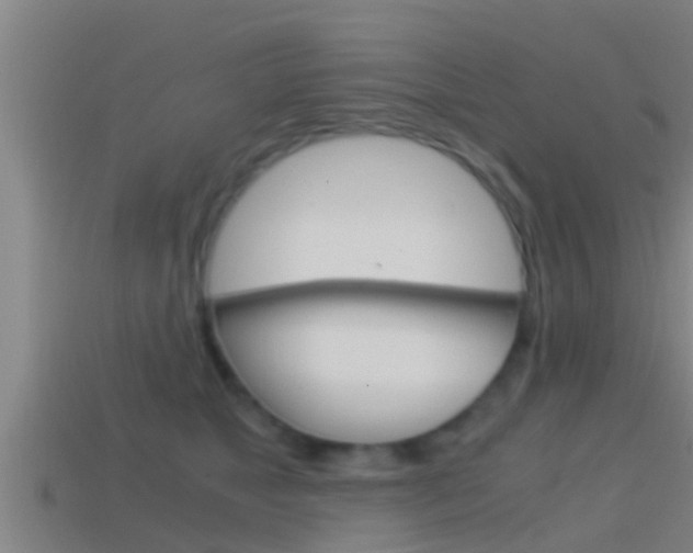 X0000114410517200910161035