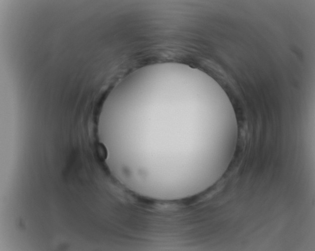 X0000114410520200910161035