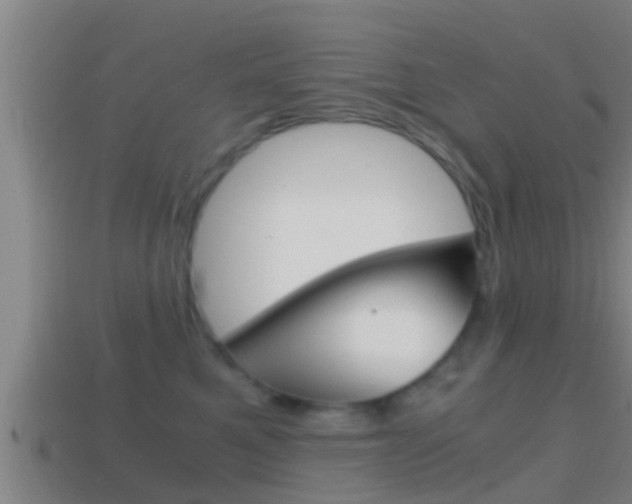 X0000114410521200910161035