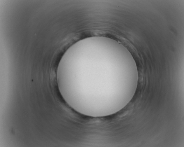 X0000114410523200910161035