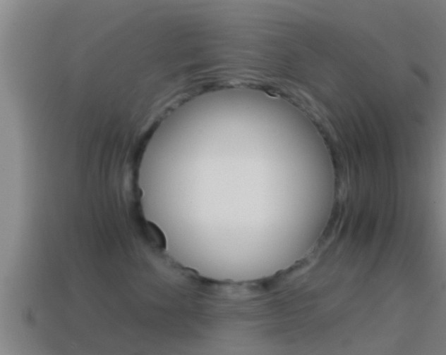 X0000114410524200910161035