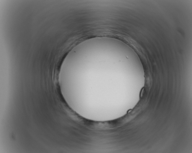 X0000114410525200910161035