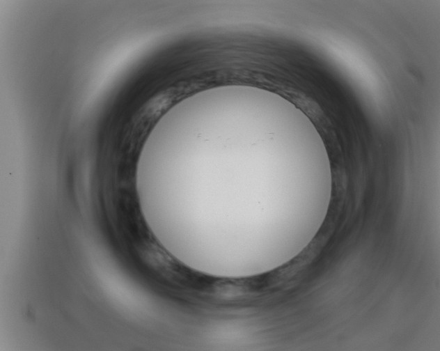 X0000114410526200910161035