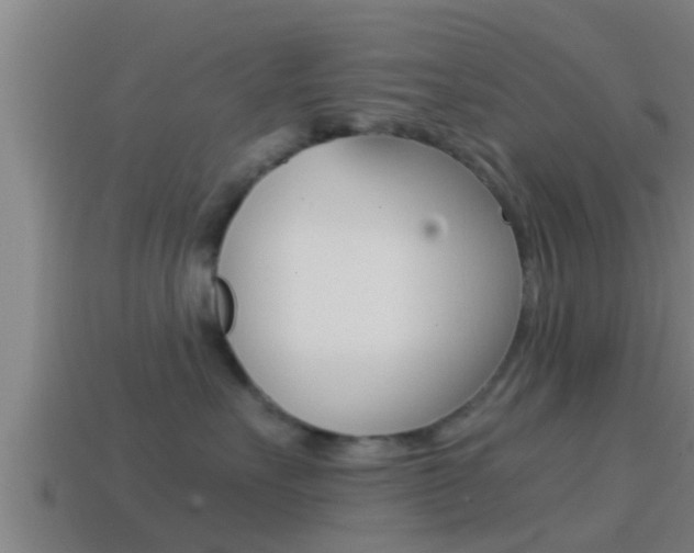 X0000114410527200910161035