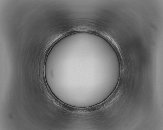 X0000114410529200910161034