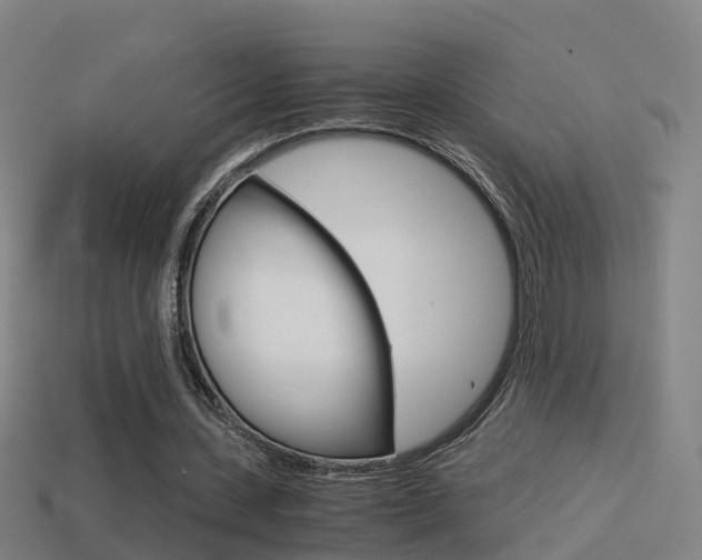 X0000114410531200910161034