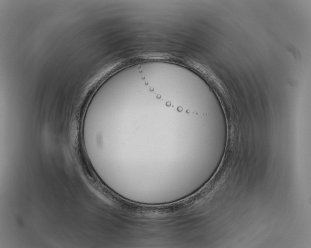 X0000114410533200910161034