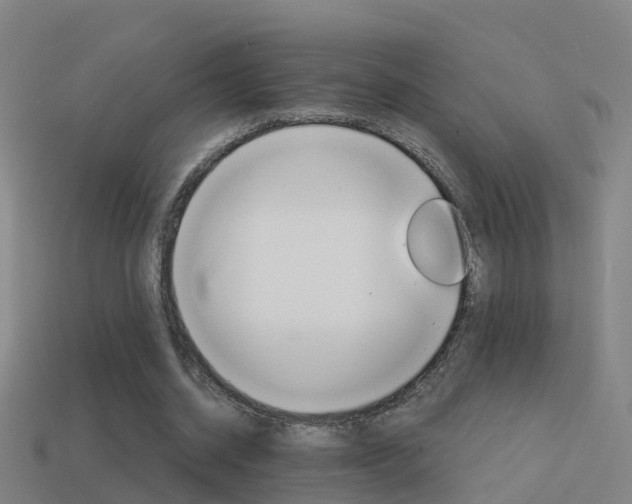 X0000114410534200910161034
