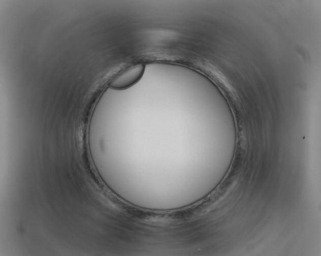 X0000114410537200910161034