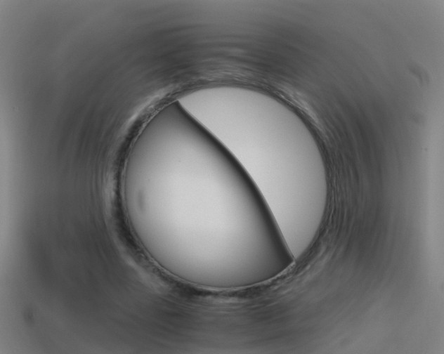 X0000114410539200910161034